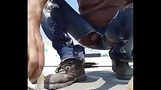 El chakal de polar construcción